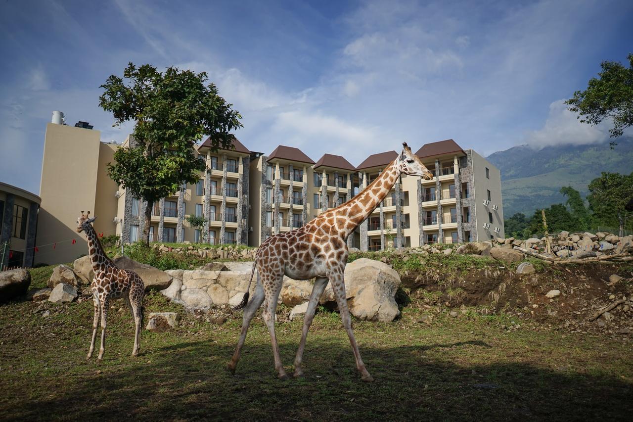 Baobab Safari Resort Prigen Kültér fotó