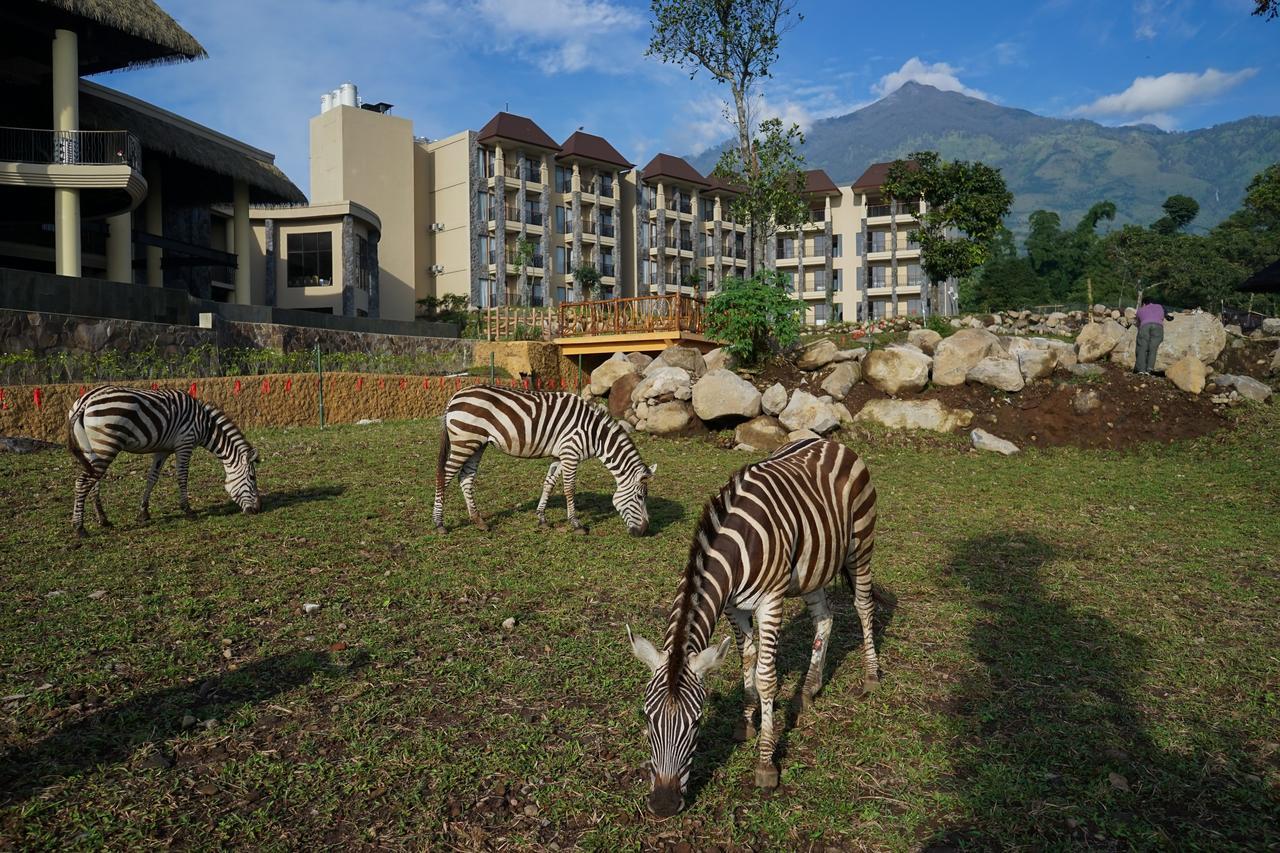 Baobab Safari Resort Prigen Kültér fotó